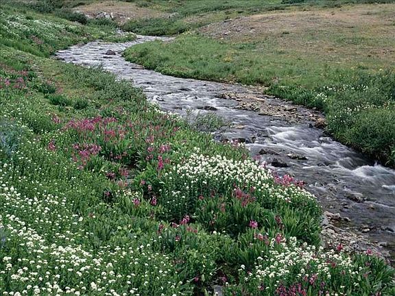 Creek 2