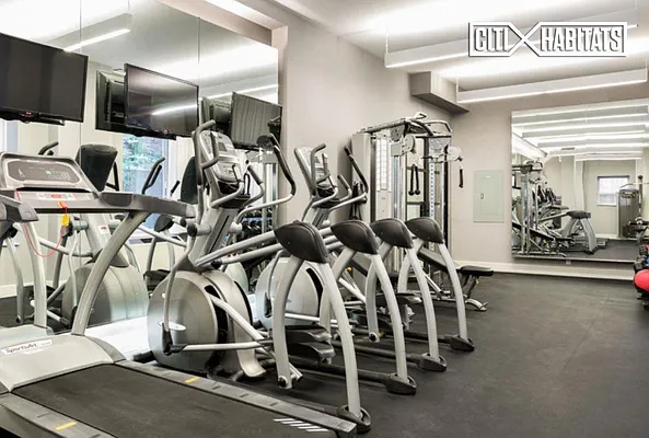 Rented by Citi Habitats | media 52