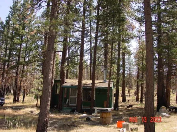 10666 Dixie Valley Rd, Chilcoot, CA 96105