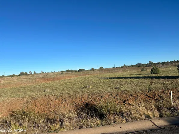 1081 S Ridgeway Pl, Show Low, AZ 85901