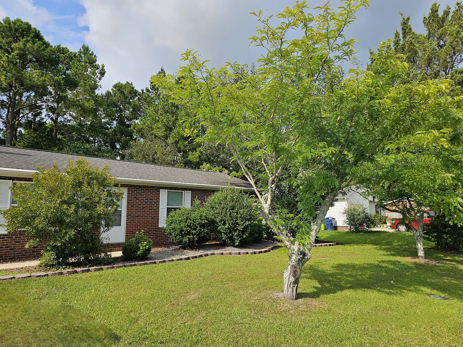 3 bed, 1150 sqft, $1,750 — Photo 2