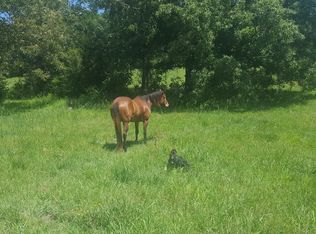 5039 Parsons Rd, Raymond, MS 39154