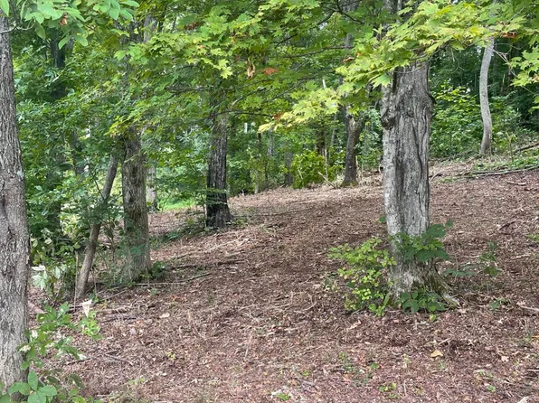 35 Chimney Top Ln, Chuckey, TN 37641