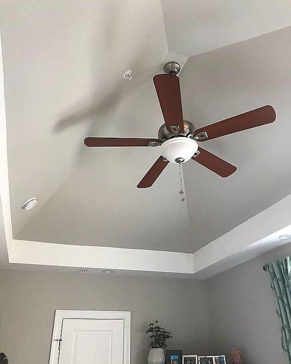Master Vaulted Ceiling