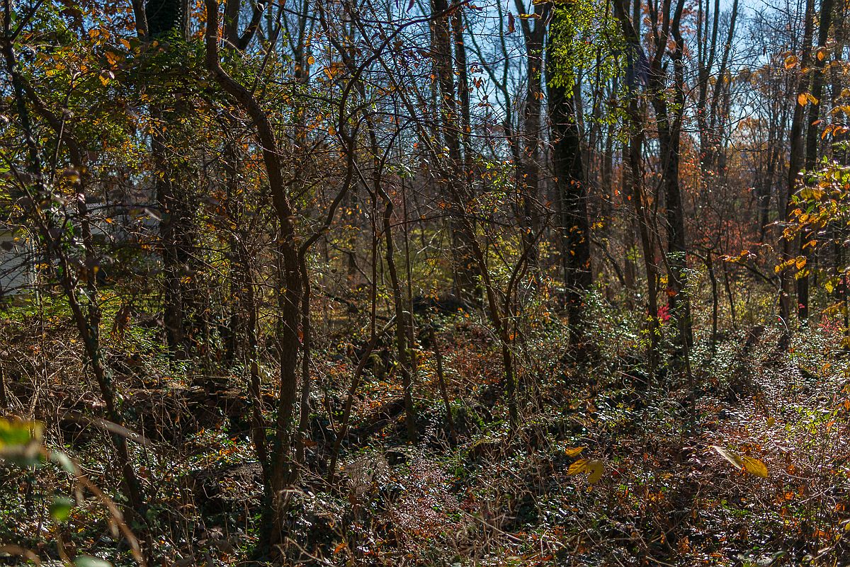 365 Raubsville Rd, Easton, PA 18042 Zillow