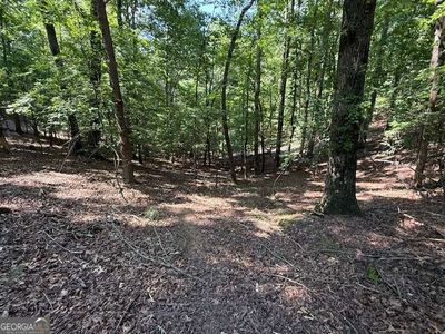 2115 Palisade Dr, Ellijay, GA, 30540