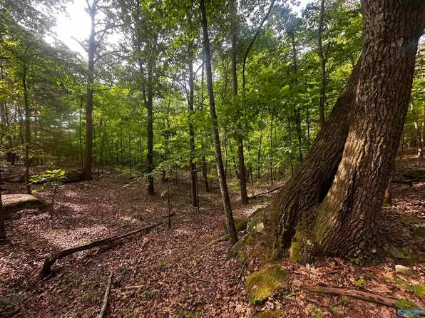 Wooten Rd, Grant, AL 35747