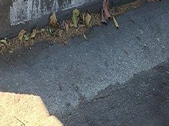 2nd image of 1031 S Record Ave