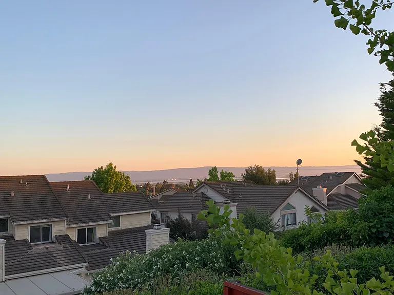 Backyard View
