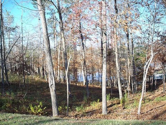 3rd image of 1578 River Island Pkwy