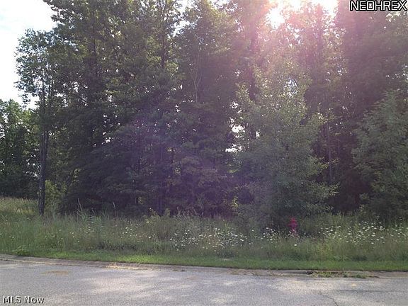 2nd image of Shannon Dr