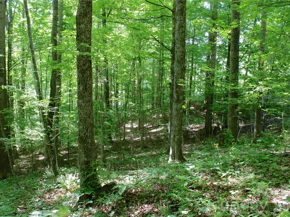 0 Wildwood Dr, Burnsville, NC 28714