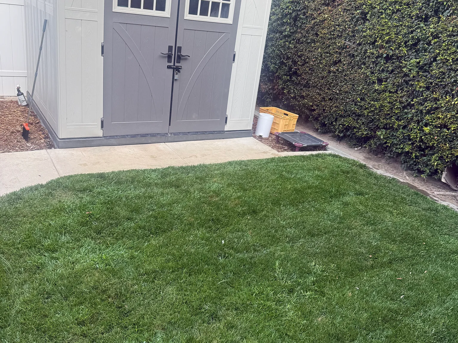 1 bed, 498 sqft, $2,550 — Photo 3