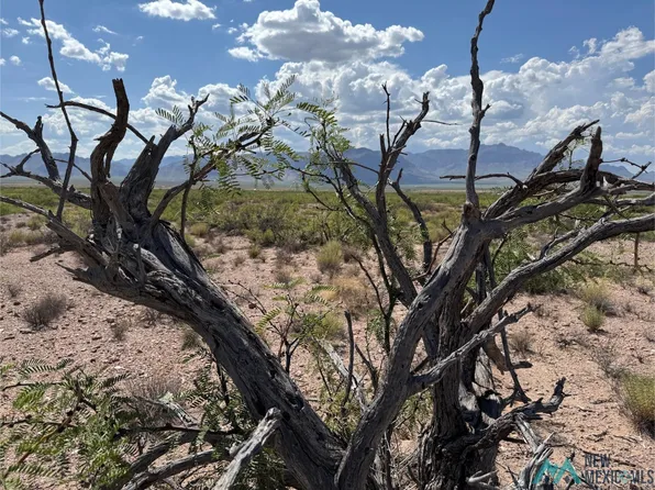 Deer Leap Rd, Rodeo, NM 88056