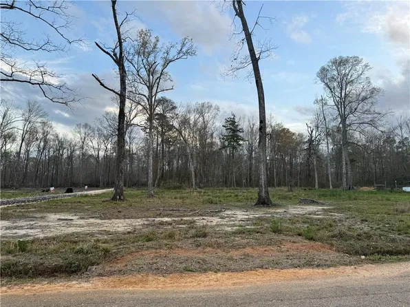 27498 E Shadow Lake Dr Tract E, Holden, LA 70744