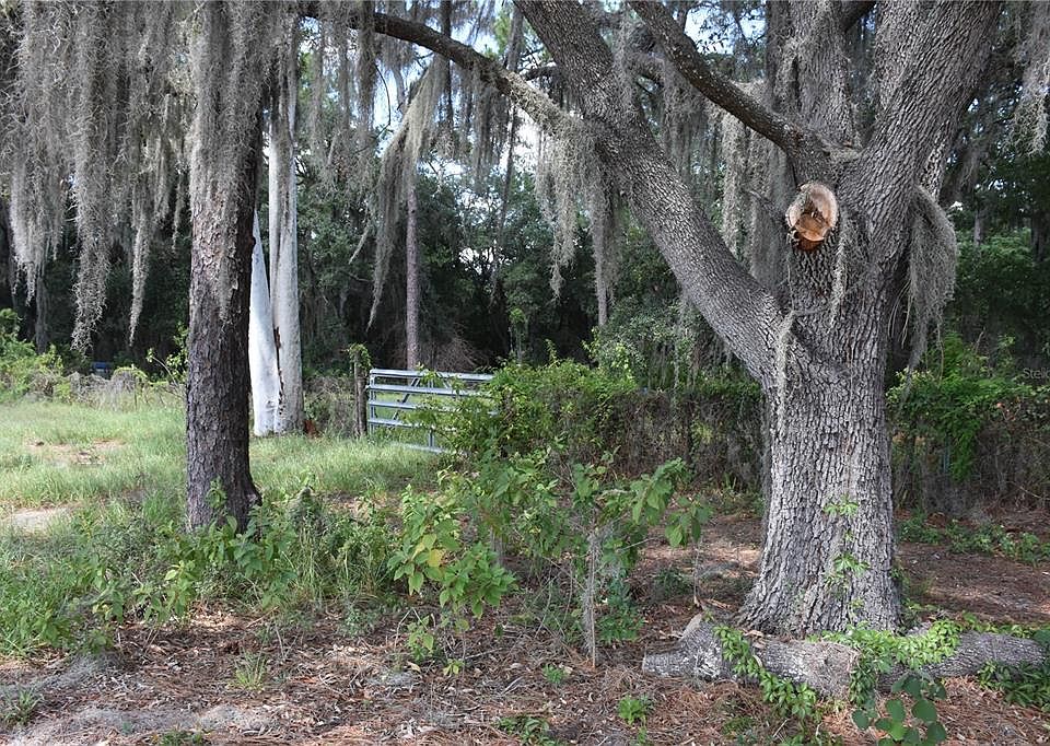 1st image of 31328 SAND LAKE DRIVE