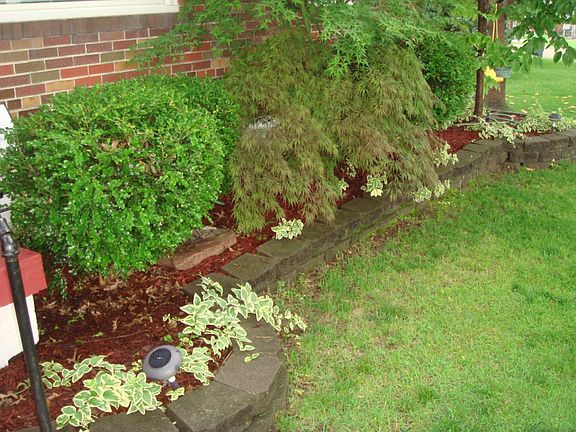 Lush landscaping
