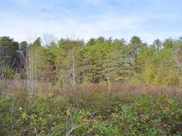 0 Wall St, Campobello, SC 29322
