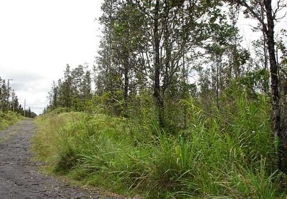 3rd image of Road 9 Koloa Maoli Lot 5453