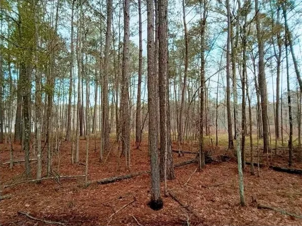 LOT 4C Horseshoe Rd N, Independence, LA 70443