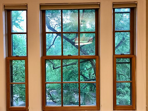 View from Living area window--like living in a tree house.