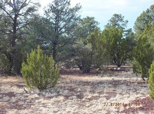5 County Road 8408, Concho, AZ 85924