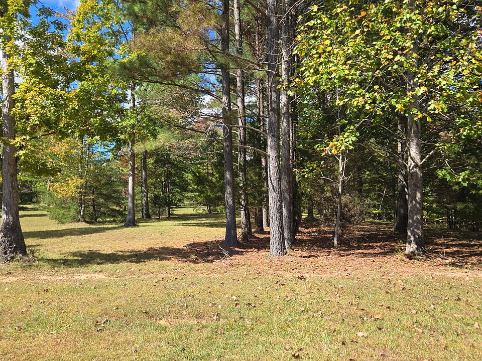 2nd image of 0 Two Lake Trl