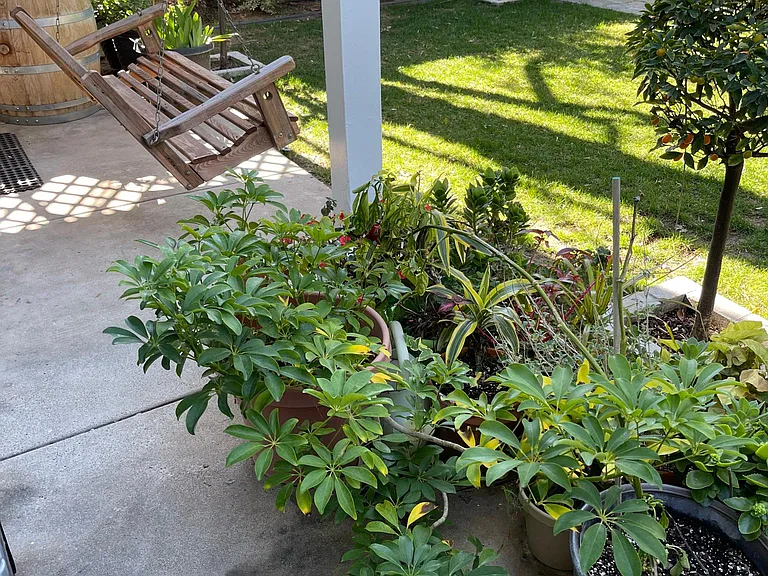 113 N Alvarado St — Photo 27