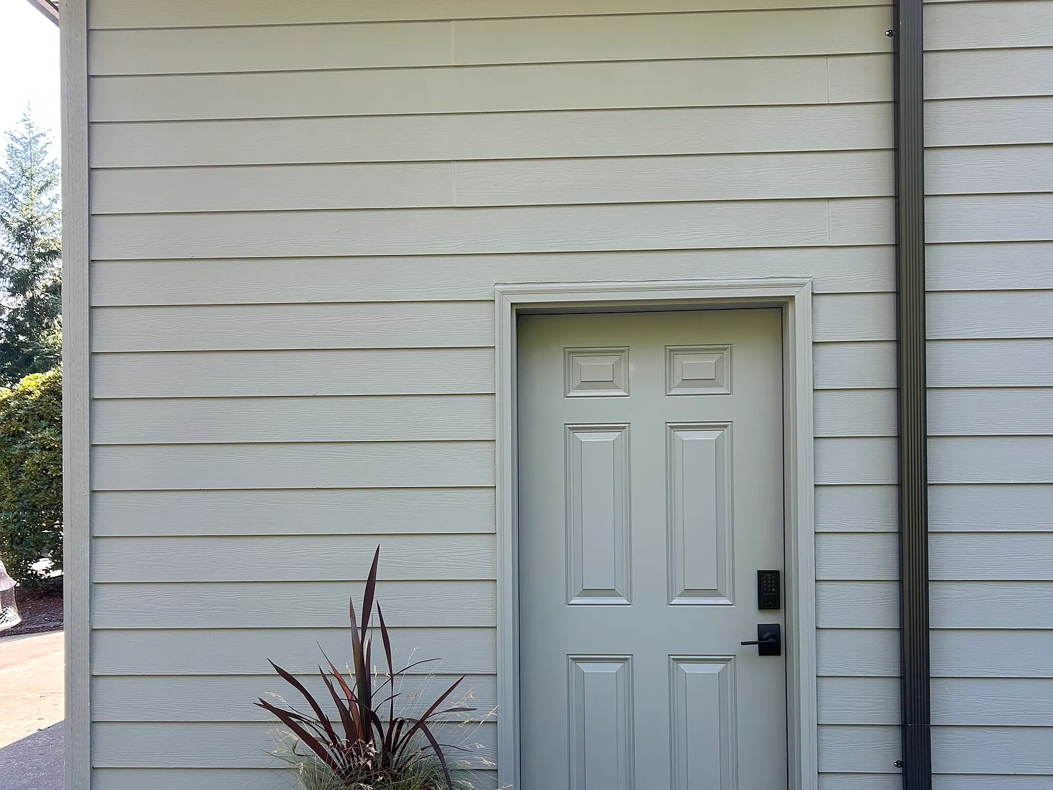 Lee Ct, Bellingham — Photo 4