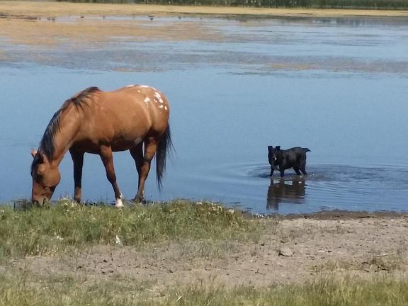 3rd image of 0 Sprague River Rd