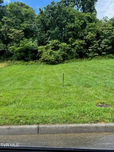 2219 Friendship Cir, Kingsport, TN, 37665