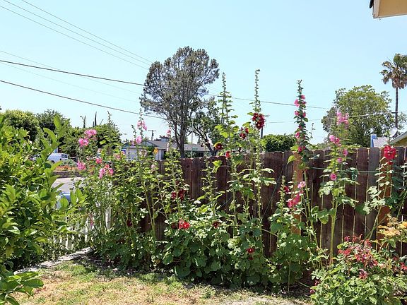4th image of 311 Bell Ave