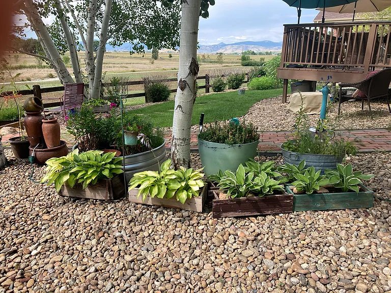 5901 Blue Mountain Cir — Photo 11