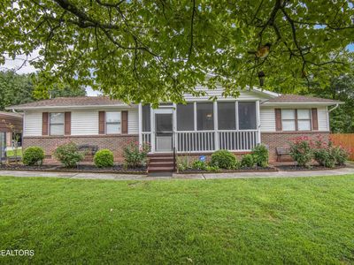 2206 Rambling Rd, Knoxville, TN, 37912