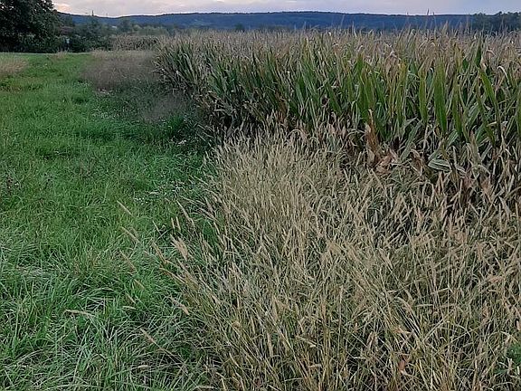 4th image of 0 Old State Rd