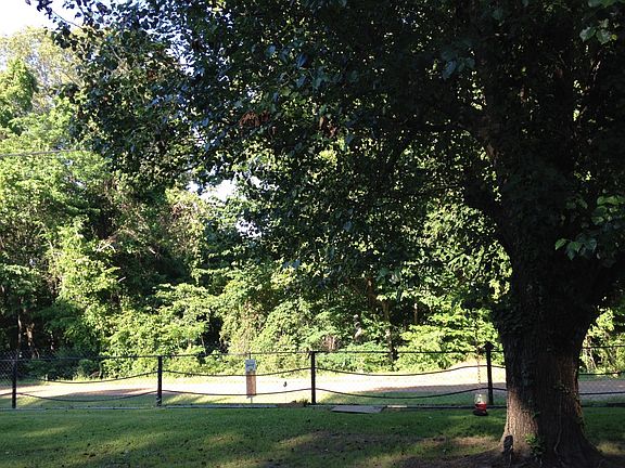 Front yard