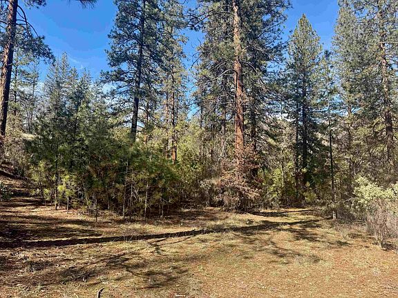 4th image of 7 Miles Out Klamath River Rd