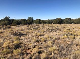 8494 Malapi Pl, Show Low, AZ 85901