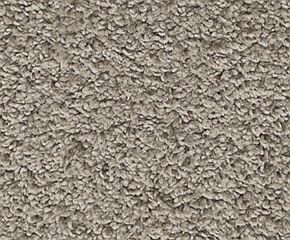 Carpet Mohawk Raise The Bar Tradewinds.