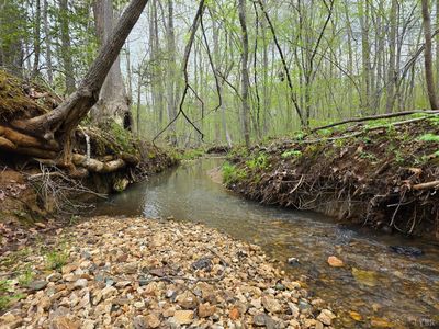 0 Spring Grove Rd, Spout Spring, VA, 24593