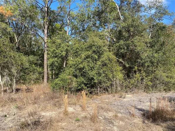SW Beach Blvd Lot 65, Dunnellon, FL 34431