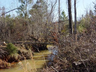 0 Smith Mill Road, Thomson, GA, 30824