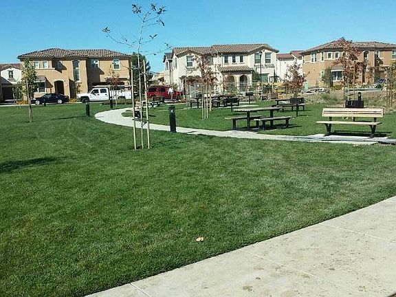 Beautiful community park