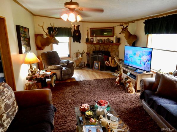 8950 N Wolfe Rd, Germfask, MI 49836