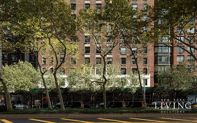 Rented by NY Living Solutions | media 3