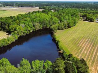 10519 Edenfield Rd, Metter, GA 30439