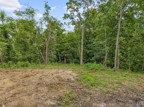 9793 Grove Dr, Bonne Terre, MO 63628