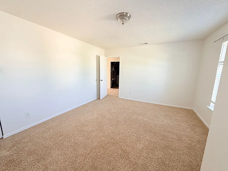 1723 Elijah Blue Dr — Photo 20