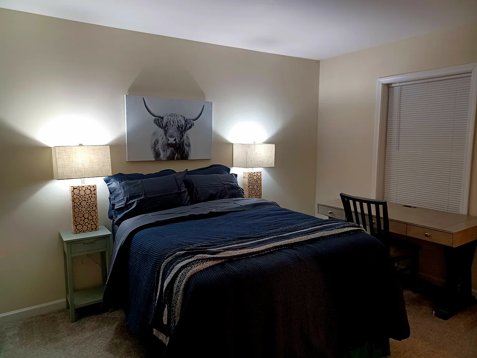 1 bed, 700 sqft, $1,250 — Photo 4