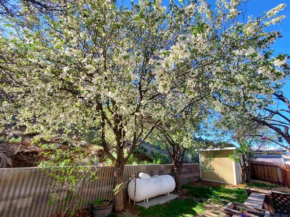 18 Eagle Peak Rd, Bridgeport, CA 93517